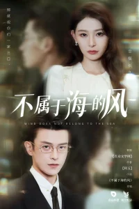 不属于海的风