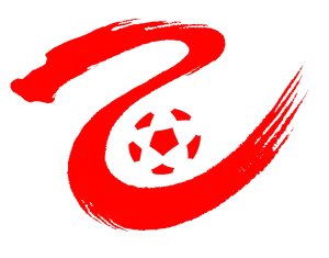 中乙 山东泰山B队vs湖北青年星20250330