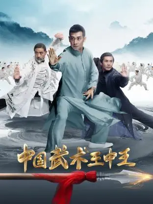 《中国武术王中王》全集高清完整版在线观看与剧情解析