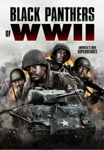 二战黑豹[电影解说]