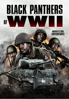 《二战黑豹[电影解说]》全集高清完整版在线观看与剧情解析