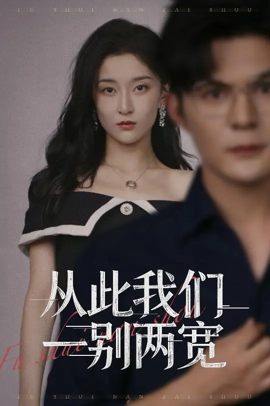 《从此我们一别两宽》深度内容解析