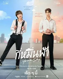 《你的天空》全集高清完整版在线观看与剧情解析