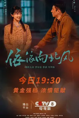 《依依向北风》深度内容解析