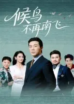 《候鸟不再南飞》全集高清完整版在线观看与剧情解析
