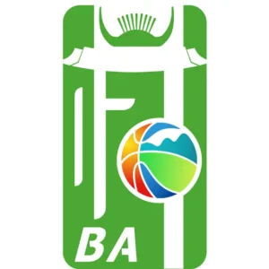 和美乡村篮球赛 DAY8体育馆会场上午场20251103