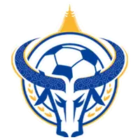 和美乡村足球超级联赛 桥乌村1.9王岭村20250729