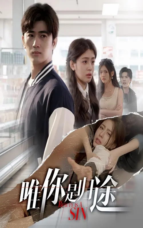 《唯你是归途》全集高清完整版在线观看与剧情解析