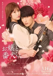 大小姐和看门犬电影版