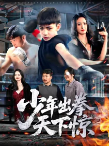 少年出拳天下惊