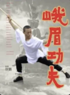 《峨眉功夫》深度内容解析