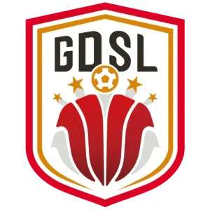 广东省足球超级联赛 广东广州豹vs河源乐里20250906