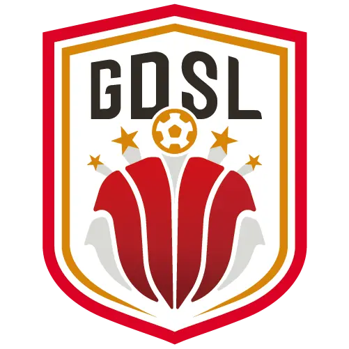 《广东省足球超级联赛 深圳艺品高vs广东广州豹20250913》深度内容解析