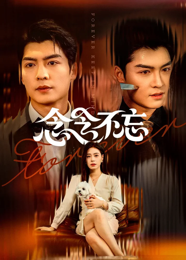 《念念不忘》深度内容解析