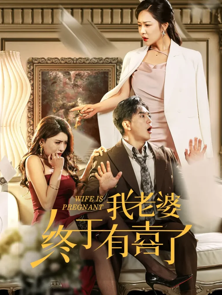 《我老婆终于有喜了》深度内容解析