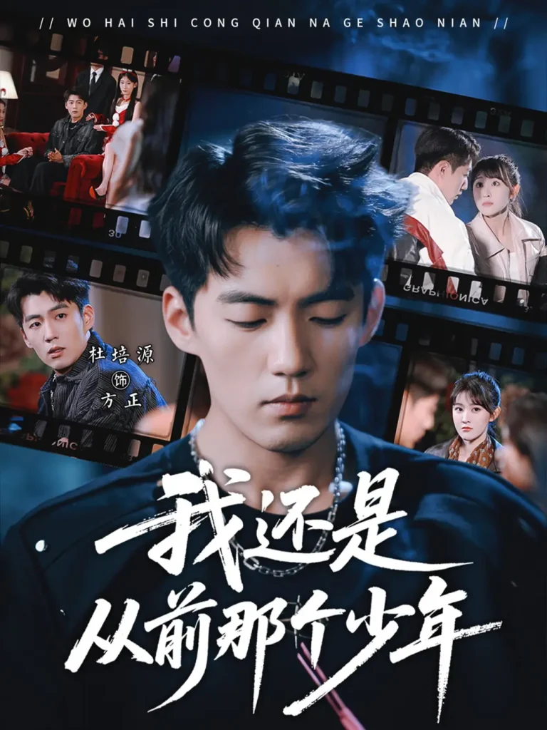 我还是从前那个少年 免费在线观看