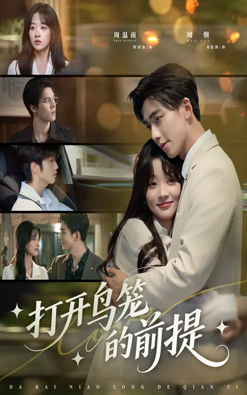 《打开鸟笼的前提》全集高清完整版在线观看与剧情解析