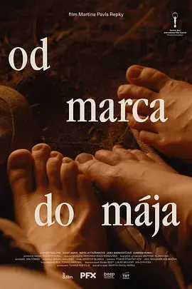 《春来家事》全集高清完整版在线观看与剧情解析