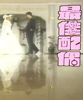 《最佳配偶》全集高清完整版在线观看与剧情解析