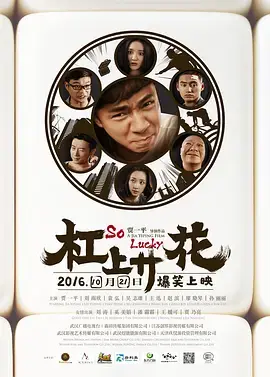 《杠上开花》深度内容解析