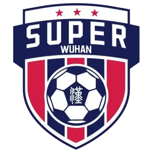 武汉城市足球超级联赛第7轮 汉阳区1.2东湖风景区20251010