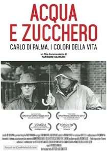 水与糖：摄影家卡洛·迪·帕尔马的生活与色彩