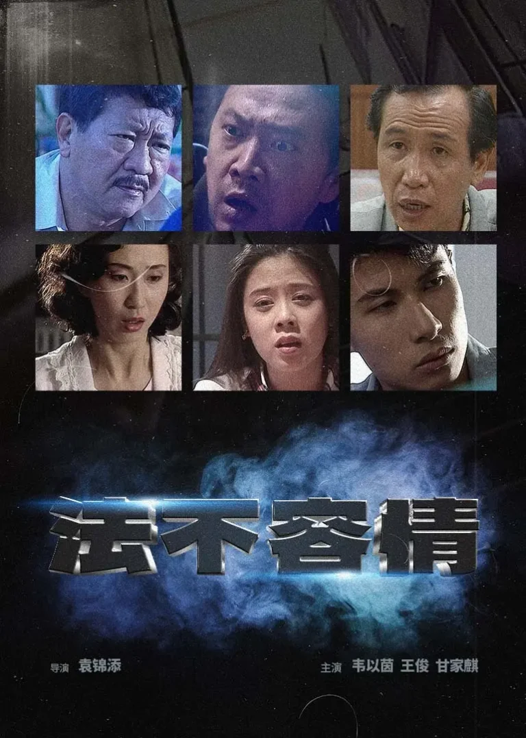 《法不容情1995》全集高清完整版在线观看与剧情解析