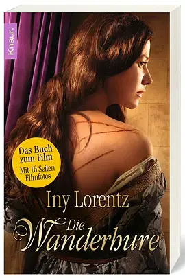 《流浪的神女》深度内容解析