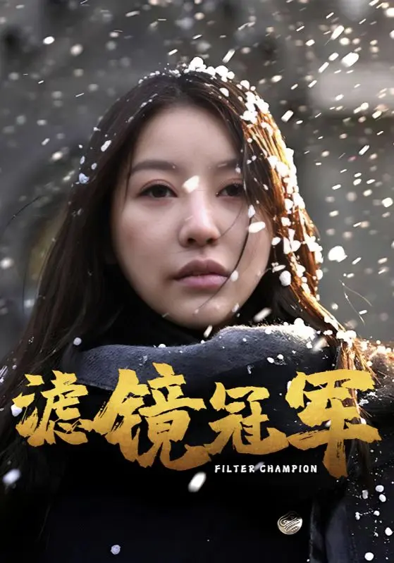 《滤镜冠军》深度内容解析