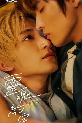 《灵魂约定》全集高清完整版在线观看与剧情解析