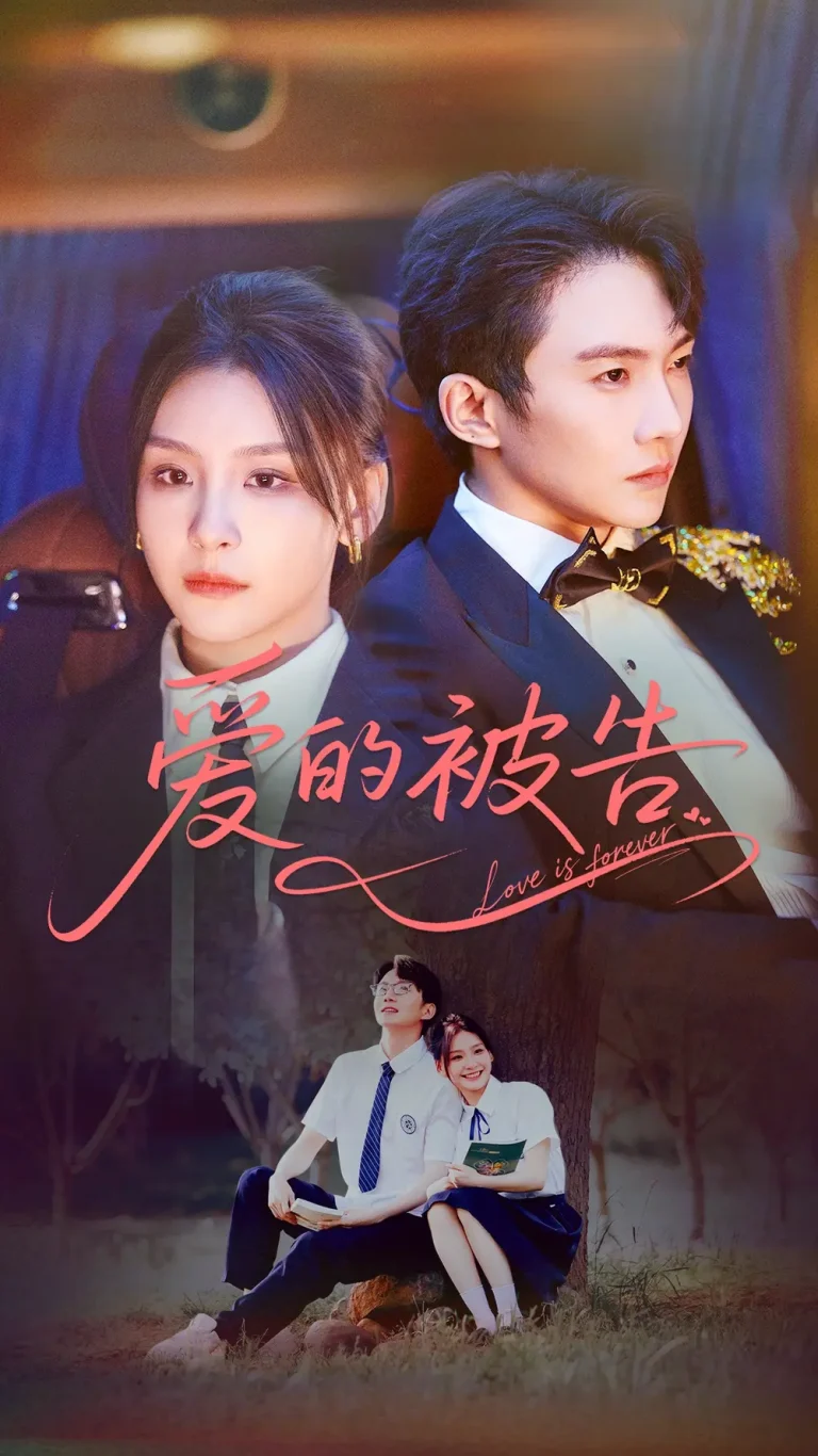 《爱的被告》深度内容解析