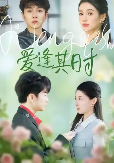 《爱逢其时》全集高清完整版在线观看与剧情解析