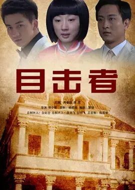 《目击者2012》全集高清完整版在线观看与剧情解析