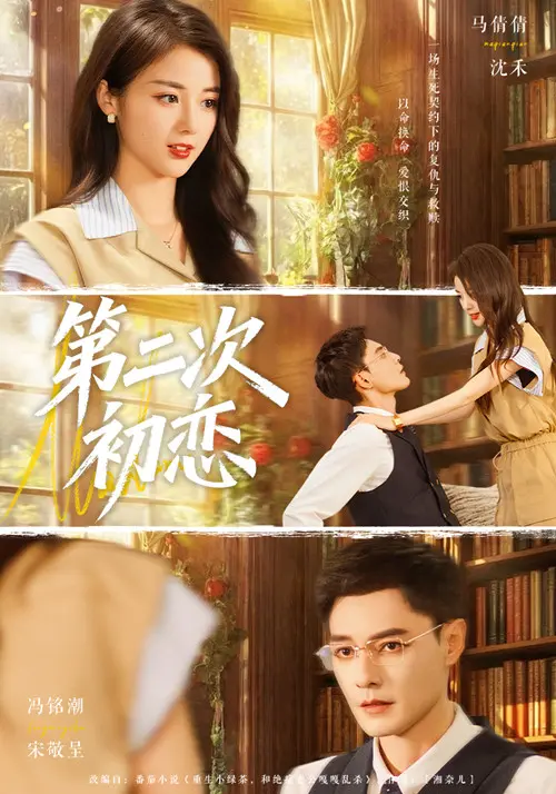 《第二次初恋》深度内容解析