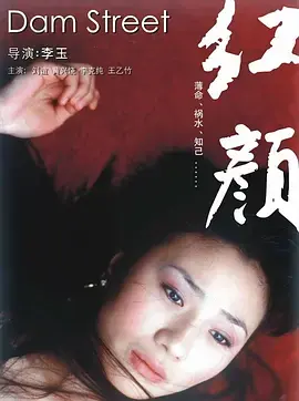 《红颜2005》深度内容解析