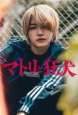 《缉毒警与疯犬》深度内容解析