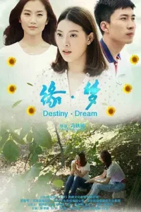 缘·梦2018