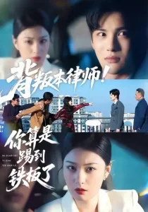 背叛本律师你算是踢到铁板了