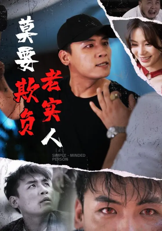 《莫要欺负老实人》深度内容解析