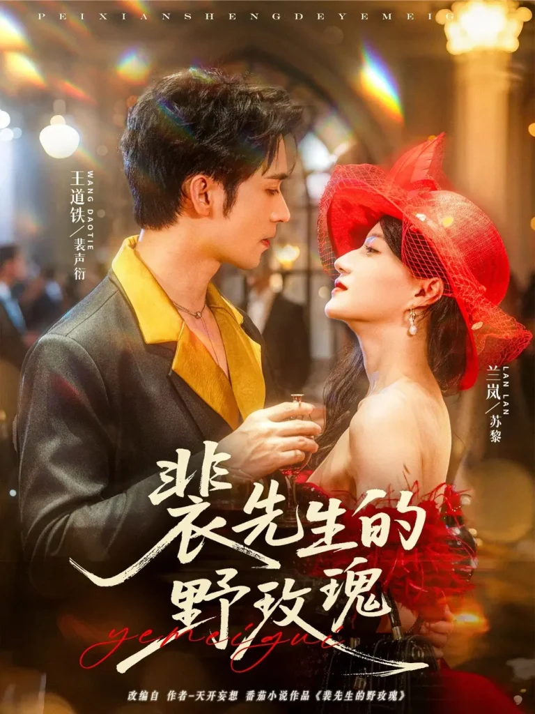 《裴先生的野玫瑰》深度内容解析