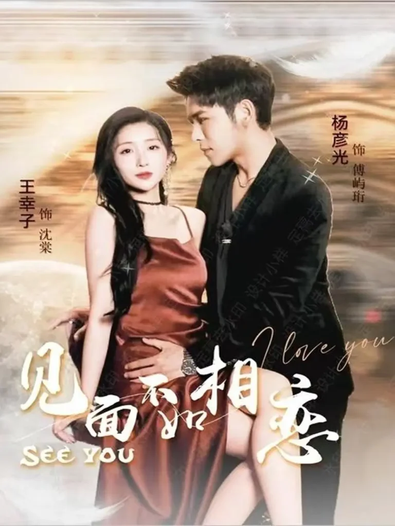 《见面不如相恋》全集高清完整版在线观看与剧情解析