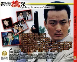 《跨海擒兇》深度内容解析