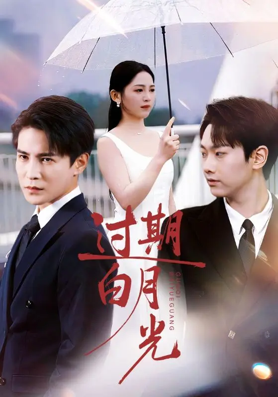 《过期白月光》深度内容解析