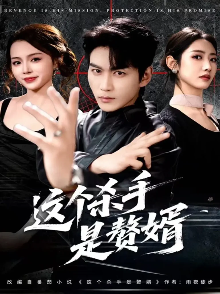 《这个杀手是赘婿》深度内容解析