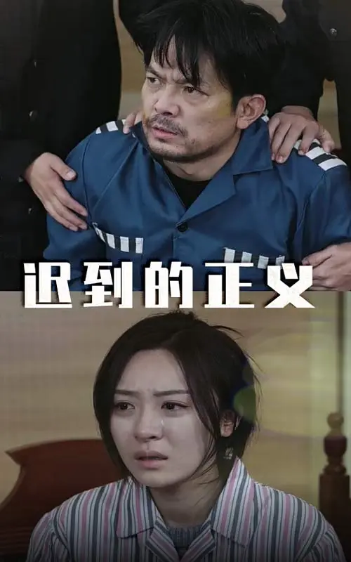 《迟到的正义》全集高清完整版在线观看与剧情解析