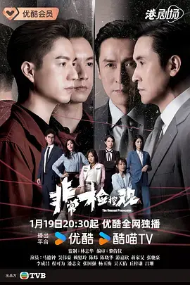 《非常检控观粤语》全集高清完整版在线观看与剧情解析