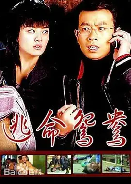 《魔劫2000》全集高清完整版在线观看与剧情解析