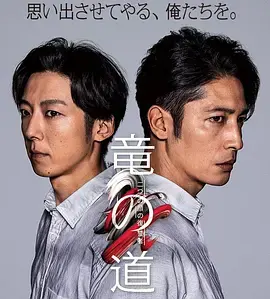 《龙道 双面复仇者》全集高清完整版在线观看与剧情解析