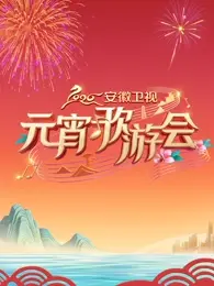 《2026安徽卫视元宵歌游会》全集高清完整版在线观看与剧情解析