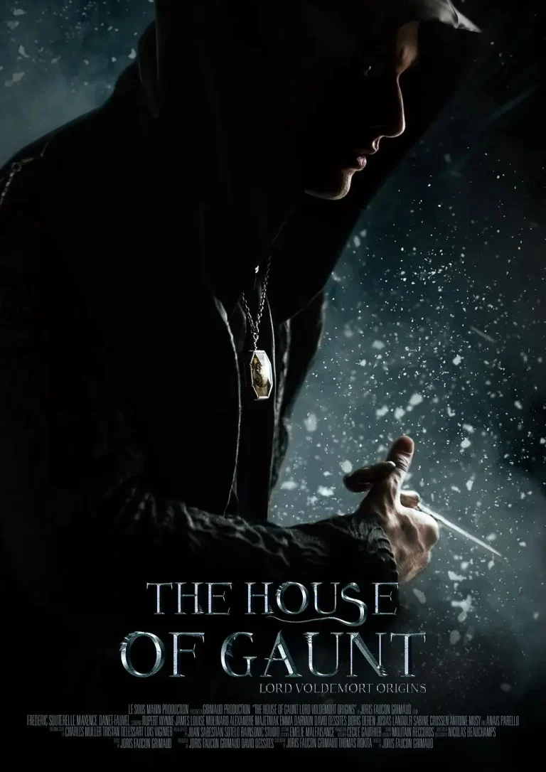 《冈特家族:伏地魔起源》全集高清完整版在线观看与剧情解析